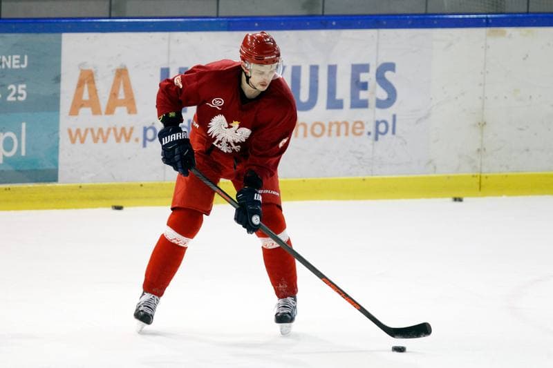 Ice Hockey. Poland national team. Training. 13.02.2018