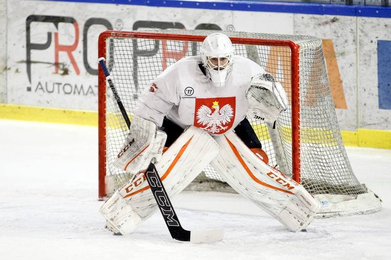 Ice Hockey. Poland national team. Training. 13.02.2018