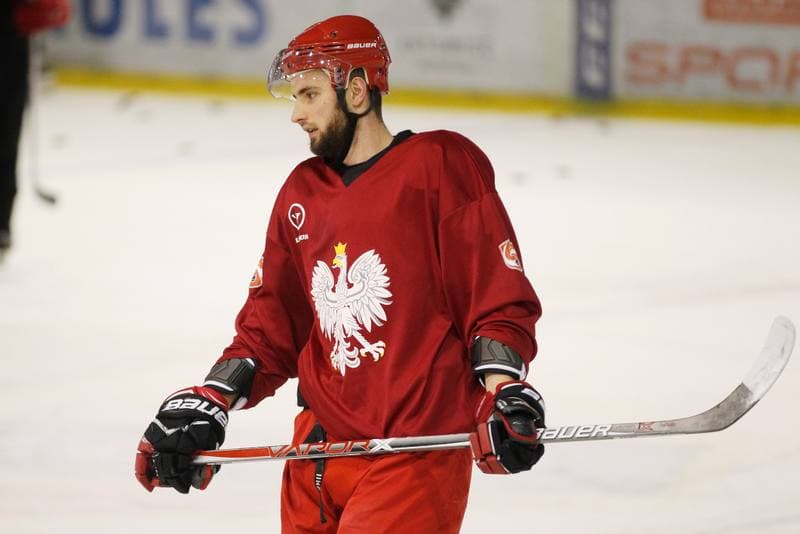 Ice Hockey. Poland national team. Training. 13.02.2018