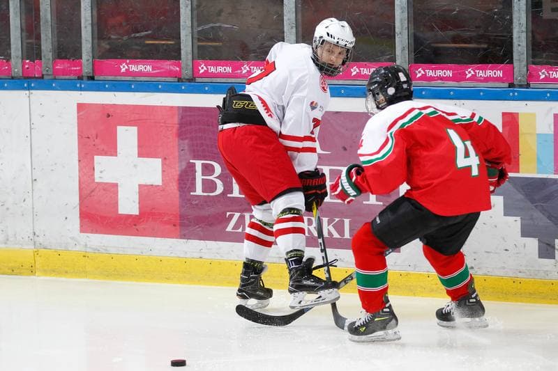 Ice Hockey. TCN. Poland - Hungary. 18.02.2018