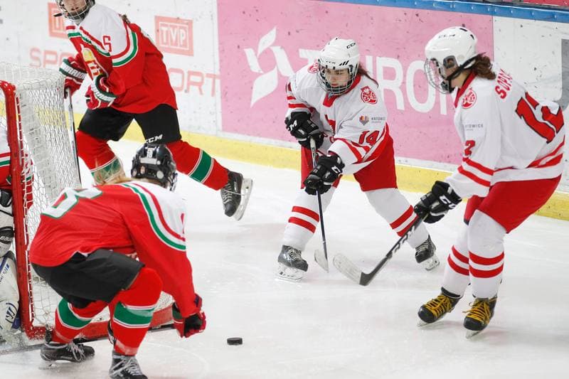 Ice Hockey. TCN. Poland - Hungary. 18.02.2018