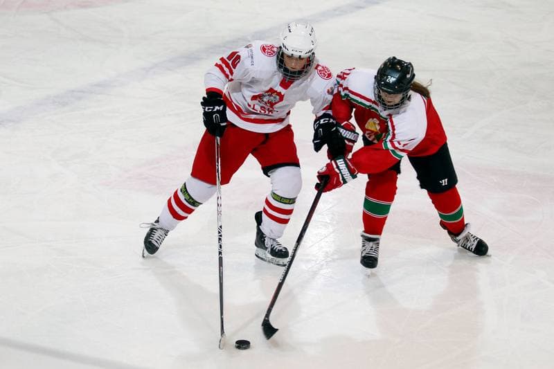 Ice Hockey. TCN. Poland - Hungary. 18.02.2018