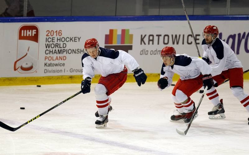 Ice Hockey. Poland national team. Training. 04.11.2015