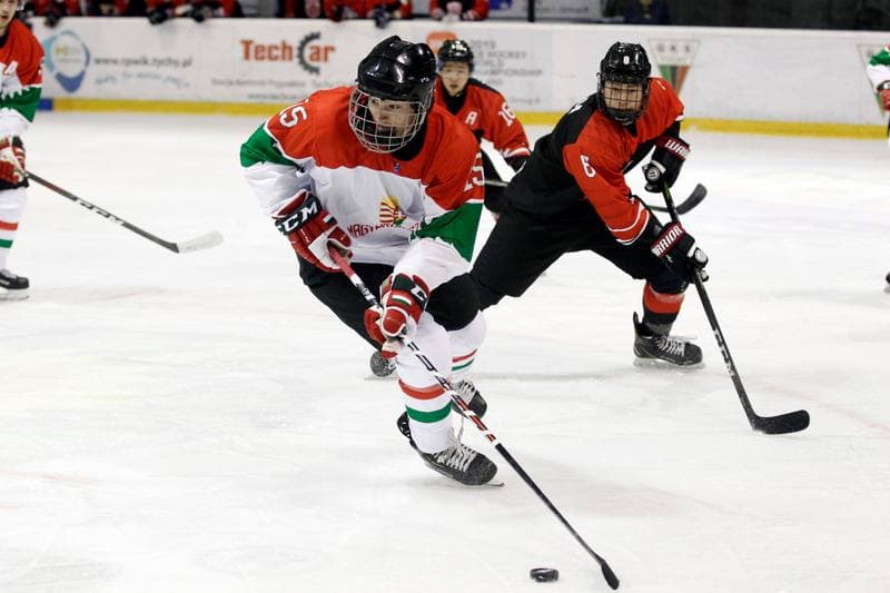 Ice Hockey. U20 World Championship Division I. Japan - Hungary. 08.12.2018