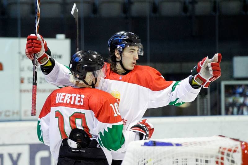 Ice Hockey. U20 World Championship Division I. Japan - Hungary. 08.12.2018