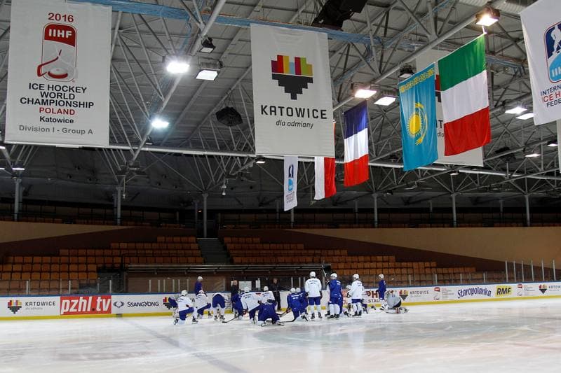 Ice Hockey. France. Training. 15.12.2015