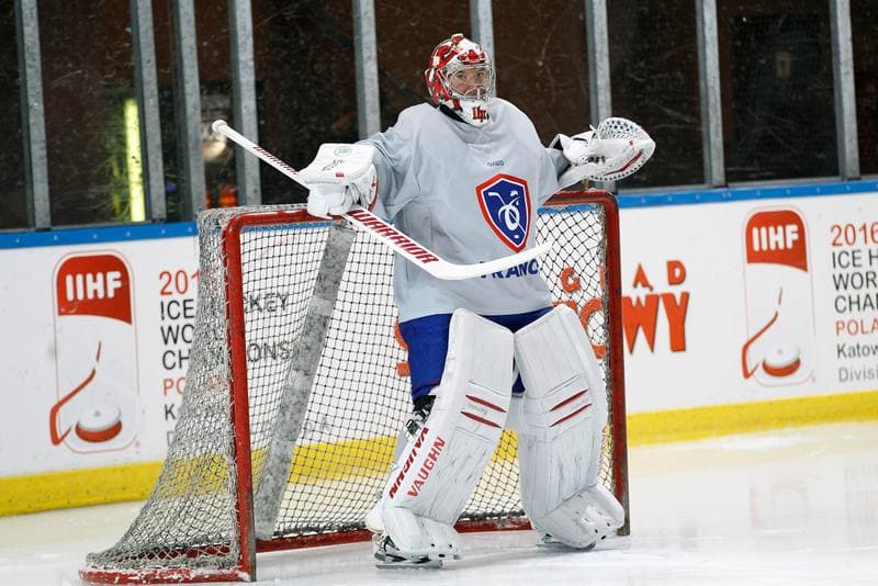 Ice Hockey. France. Training. 15.12.2015