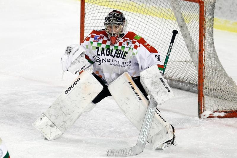 Ice Hockey. Polska Hokej Liga. Zaglebie Sosnowiec - Unia Oswiecim. 01.02.2019