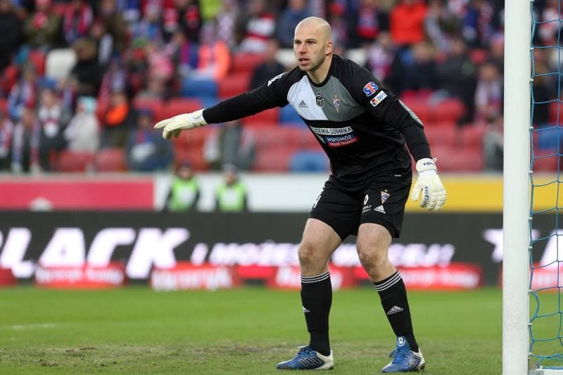 Football. Lotto Ekstraklasa. Gornik Zabrze - Zaglebie Sosnowiec. 23.02.2019
