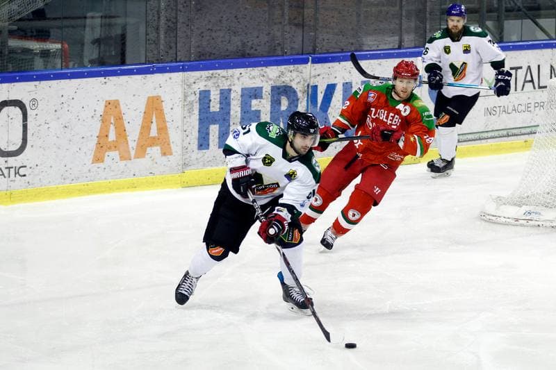 Ice Hockey. Polska Hokej Liga. Naprzod Janow - Zaglebie Sosnowiec. 23.02.2019