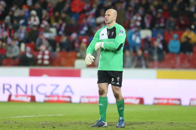 Football. Lotto Ekstraklasa. Gornik Zabrze - Wisla Krakow. 11.02.2019