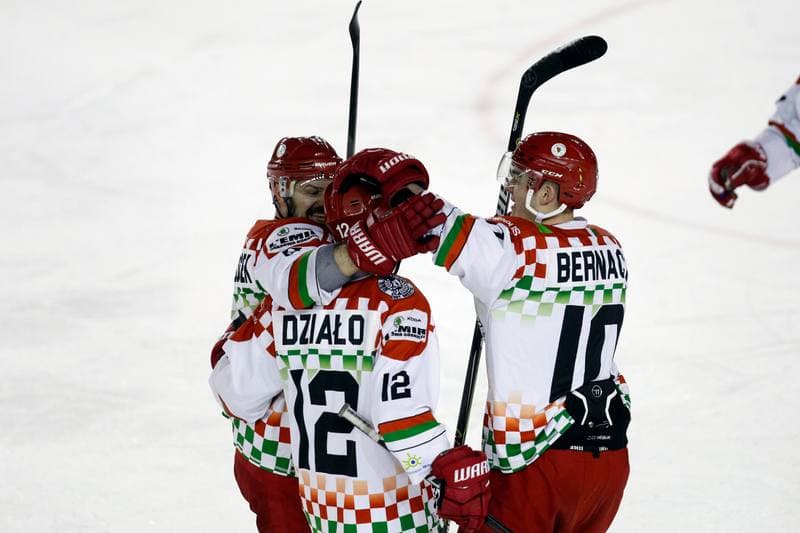 Ice Hockey. Polska Hokej Liga. Zaglebie Sosnowiec - Orlik Opole. 17.02.2019
