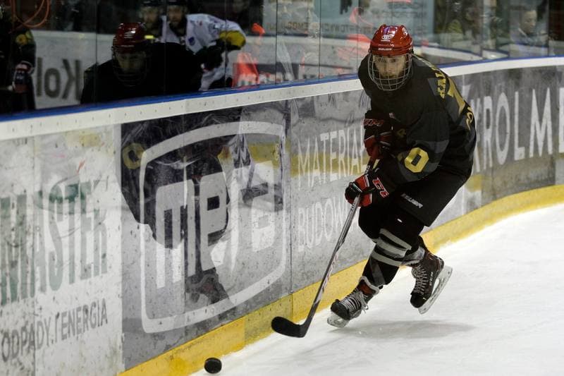 Ice Hockey. Polska Hokej Liga. GKS Tychy - Comarch Cracovia. 11.04.2019