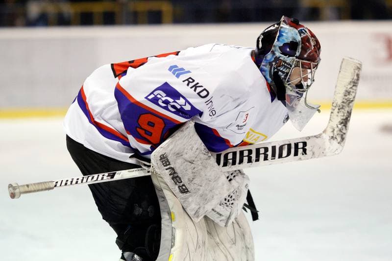 Ice Hockey. PHL. Tempish Polonia Bytom - Comarch Cracovia. 27.01.2017