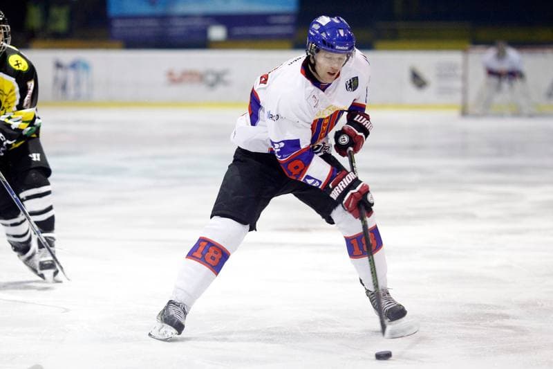 Ice Hockey. Polska Hokej Liga. Tempish Polonia Bytom - JKH GKS Jastrzebie. 20.01.2017
