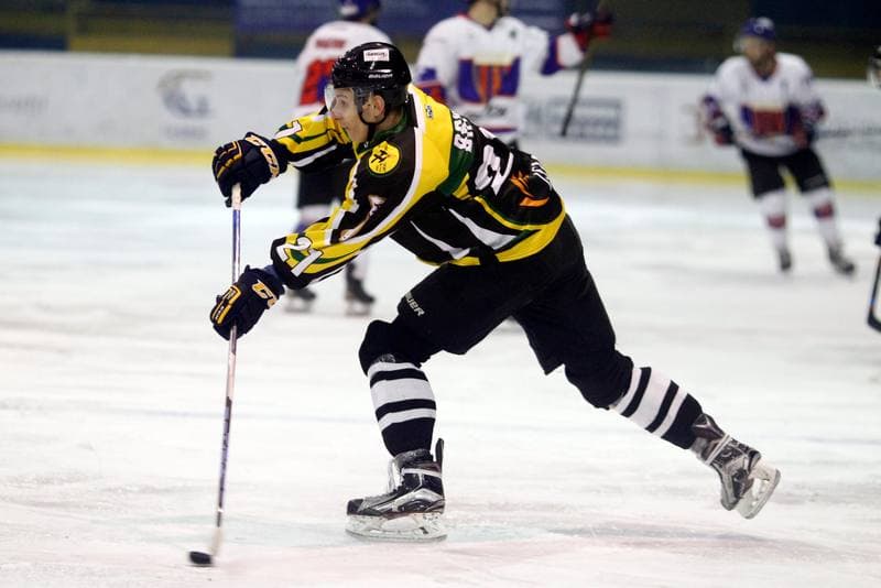 Ice Hockey. Polska Hokej Liga. Tempish Polonia Bytom - JKH GKS Jastrzebie. 20.01.2017