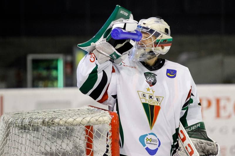 Ice Hockey. Polska Hokej Liga. GKS Tychy - Tempish Polonia Bytom. 22.01.2017