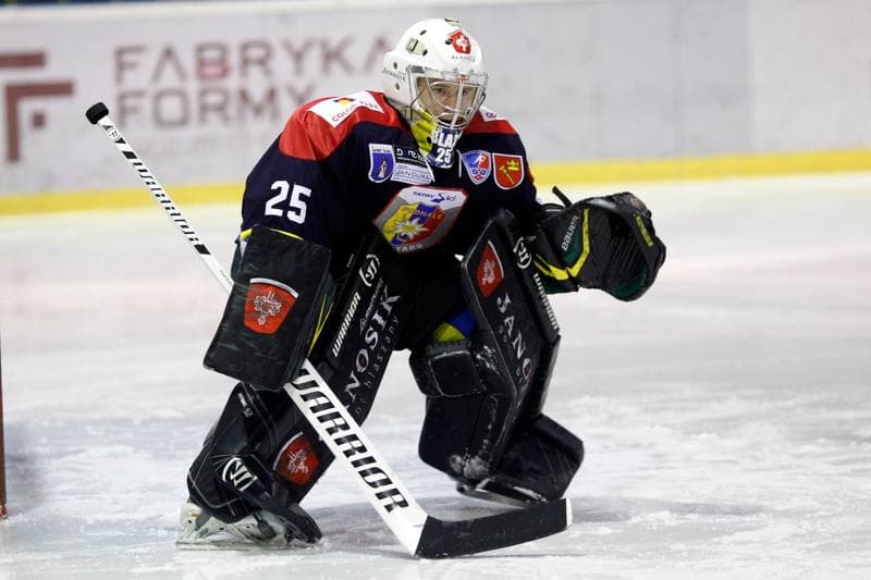 Ice Hockey. Polska Hokej Liga. Tempish Polonia Bytom - Podhale Nowy Targ. 29.01.2017