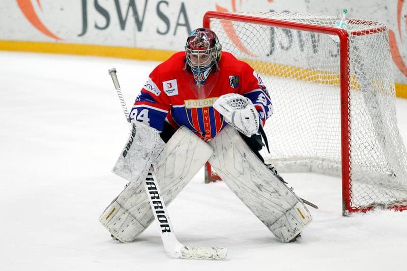 Ice Hockey. PHL. JKH GKS Jastrzebie - Tempish Polonia Bytom. 05.02.2017