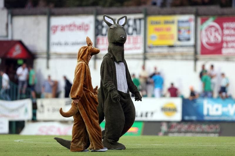 Football. Fortuna:Liga. Bohemians 1905 - Banik Ostrava. 13.08.2018