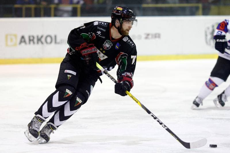 Ice Hockey. Polska Hokej Liga. Tempish Polonia Bytom - GKS Tychy. 15.02.2017