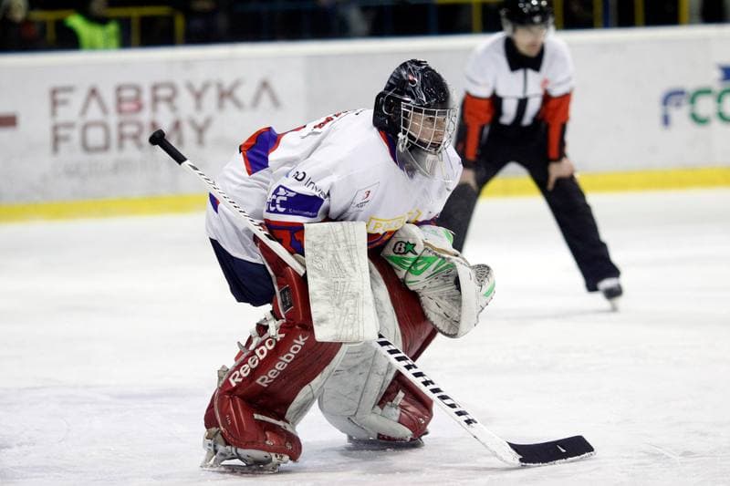 Ice Hockey. Polska Hokej Liga. Tempish Polonia Bytom - Orlik Opole. 21.02.2017