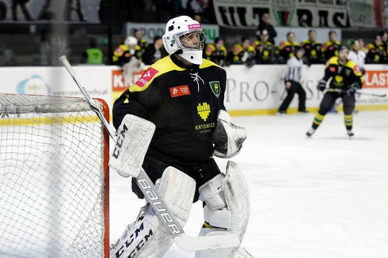 Ice Hockey. Polska Hokej Liga. GKS Tychy - Tauron GKS Katowice. 22.02.2017