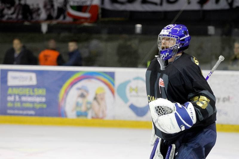 Ice Hockey. PHL. GKS Tychy - Comarch Cracovia. 02.04.2019