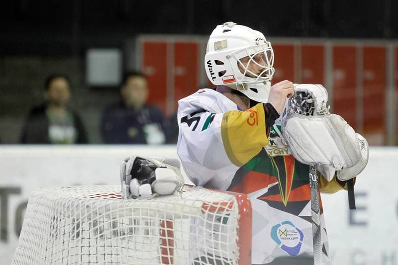 Ice Hockey. PHL. GKS Tychy - Comarch Cracovia. 02.04.2019