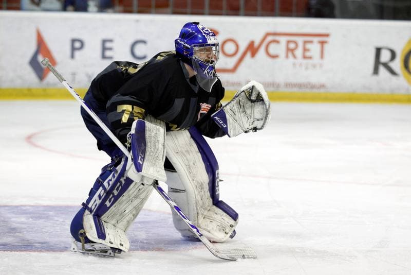 Ice Hockey. Polska Hokej Liga. GKS Tychy - Comarch Cracovia. 07.04.2019