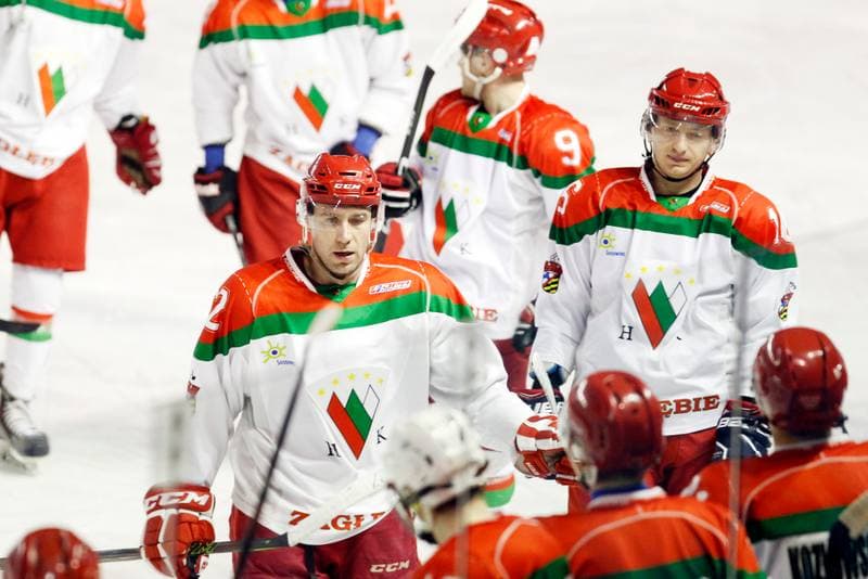 Ice Hockey. I Liga. Zaglebie Sosnowiec - UKH Debica. 18.02.2017