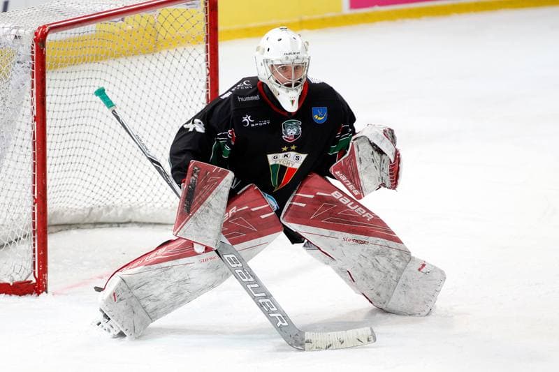 Ice Hockey. Polska Hokej Liga. Tauron KH GKS Katowice - GKS Tychy. 25.02.2017