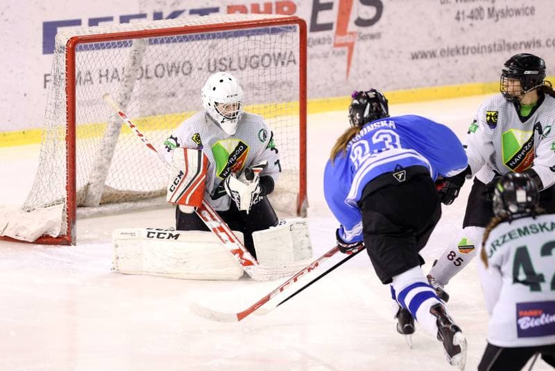 Ice Hockey. PLHK. Naprzod Janow - Stoczniowiec Gdansk. 25.02.2017