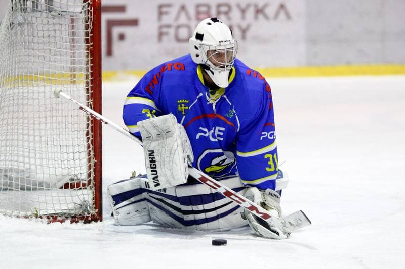 Ice Hockey. Polska Hokej Liga. Tempish Polonia Bytom - Orlik Opole. 01.03.2017