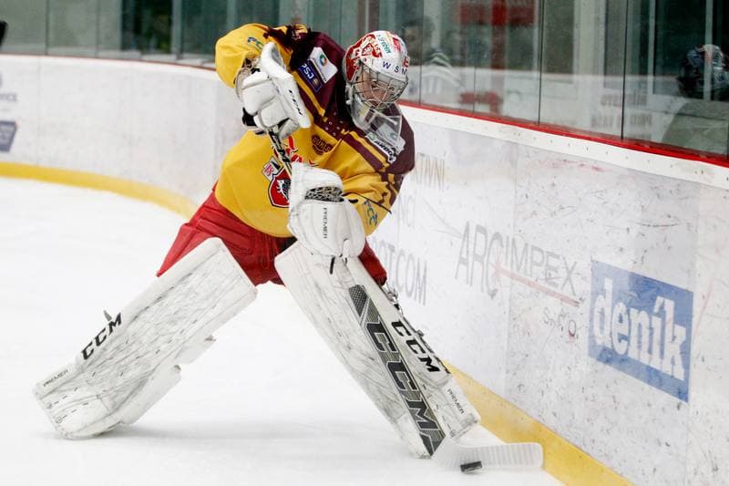 Ice Hockey. WSM Liga. HC Frydek-Mistek - Dukla Jihlava. 02.03.2017