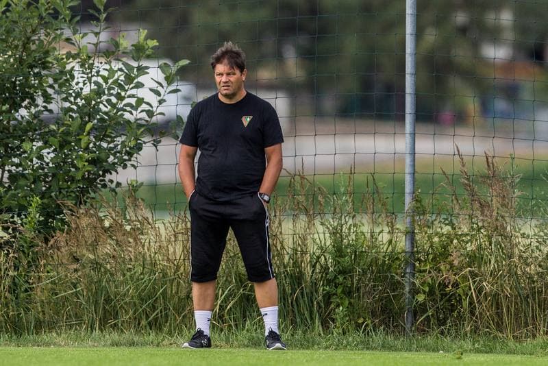 Football. Sparing. Zaglebie Sosnowiec - Fotbal Trinec. 03.07.2019