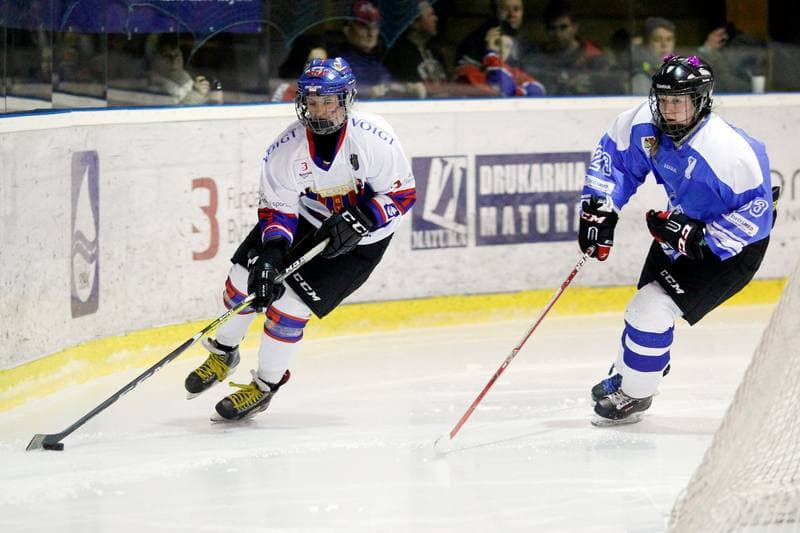 Ice Hockey. PLHK. Polonia Bytom - Stoczniowiec Gdansk. 18.03.2017