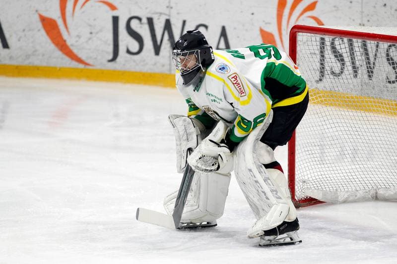 Ice Hockey. Polska Hokej Liga. JKH GKS Jastrzebie - Comarch Cracovia. 10.01.2019