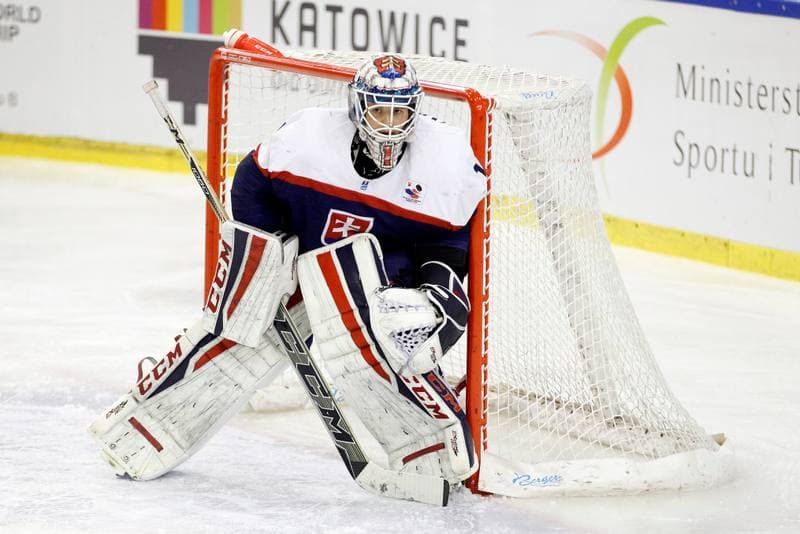 Ice Hockey. Women's World Championship. Slovakia - Italy. 09.04.2017