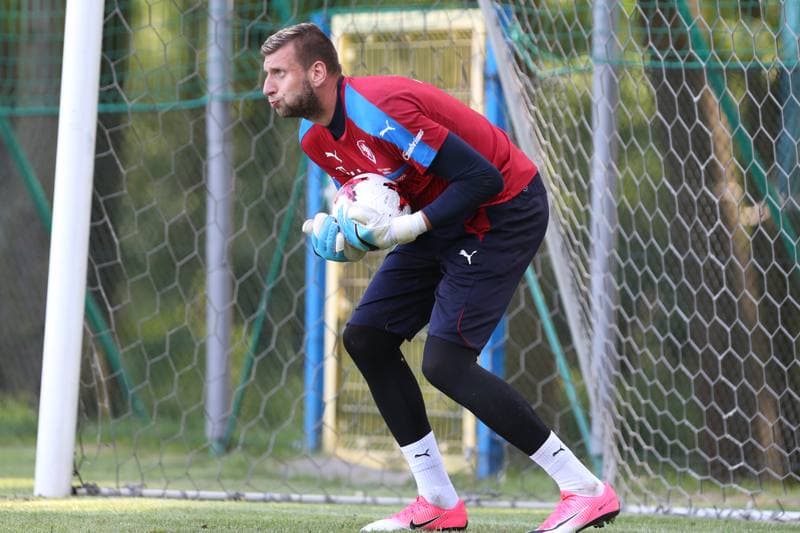 Football. Czech Republic. Training. 15.06.2017