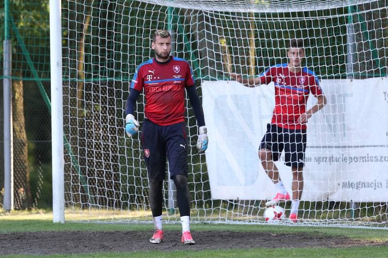 Football. Czech Republic. Training. 15.06.2017