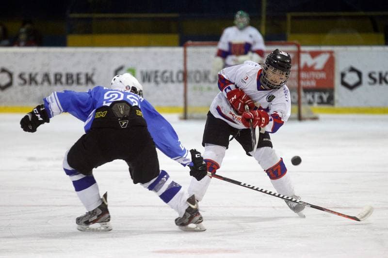 Ice Hockey. PLHK. Polonia Bytom - Stoczniowiec Gdansk. 09.03.2019
