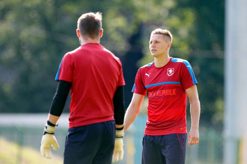 Football. Czech Republic. Training. 20.06.2017
