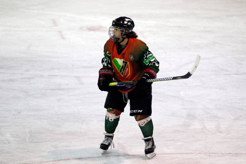 Ice Hockey. PLHK. Polonia Bytom - Naprzod Janow. 21.10.2017