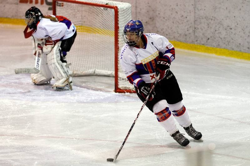 Ice Hockey. PLHK. Polonia Bytom - Naprzod Janow. 21.10.2017