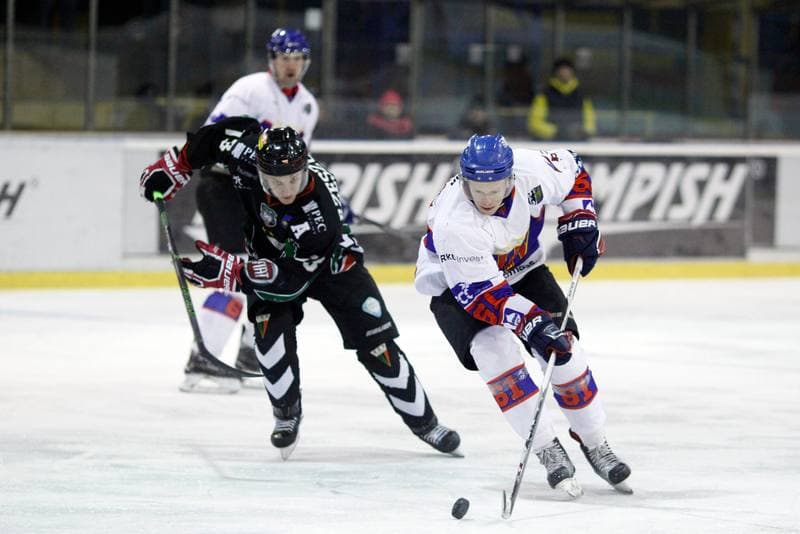 Ice Hockey. Polska Hokej Liga. Tempish Polonia Bytom - GKS Tychy. 06.01.2017