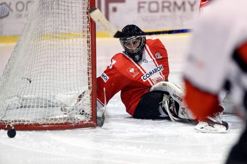 Ice Hockey. PHL. Tempish Polonia Bytom - Comarch Cracovia. 27.01.2017