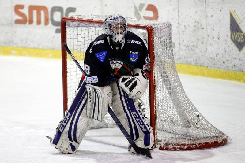 Ice Hockey. PLHK. Polonia Bytom - Atomowki Tychy. 27.01.2017