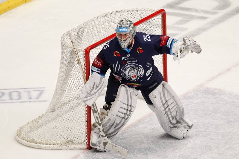 Ice Hockey. Tipsport Extraliga. Ocelari Trinec - Bili Tygri Liberec. 05.02.2017