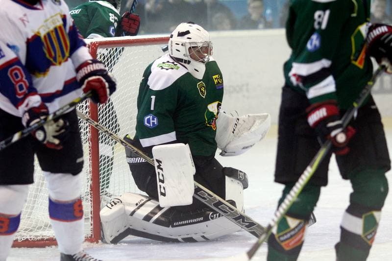 Ice Hockey. Polska Hokej Liga. Polonia Bytom - Naprzod Janow. 10.09.2017